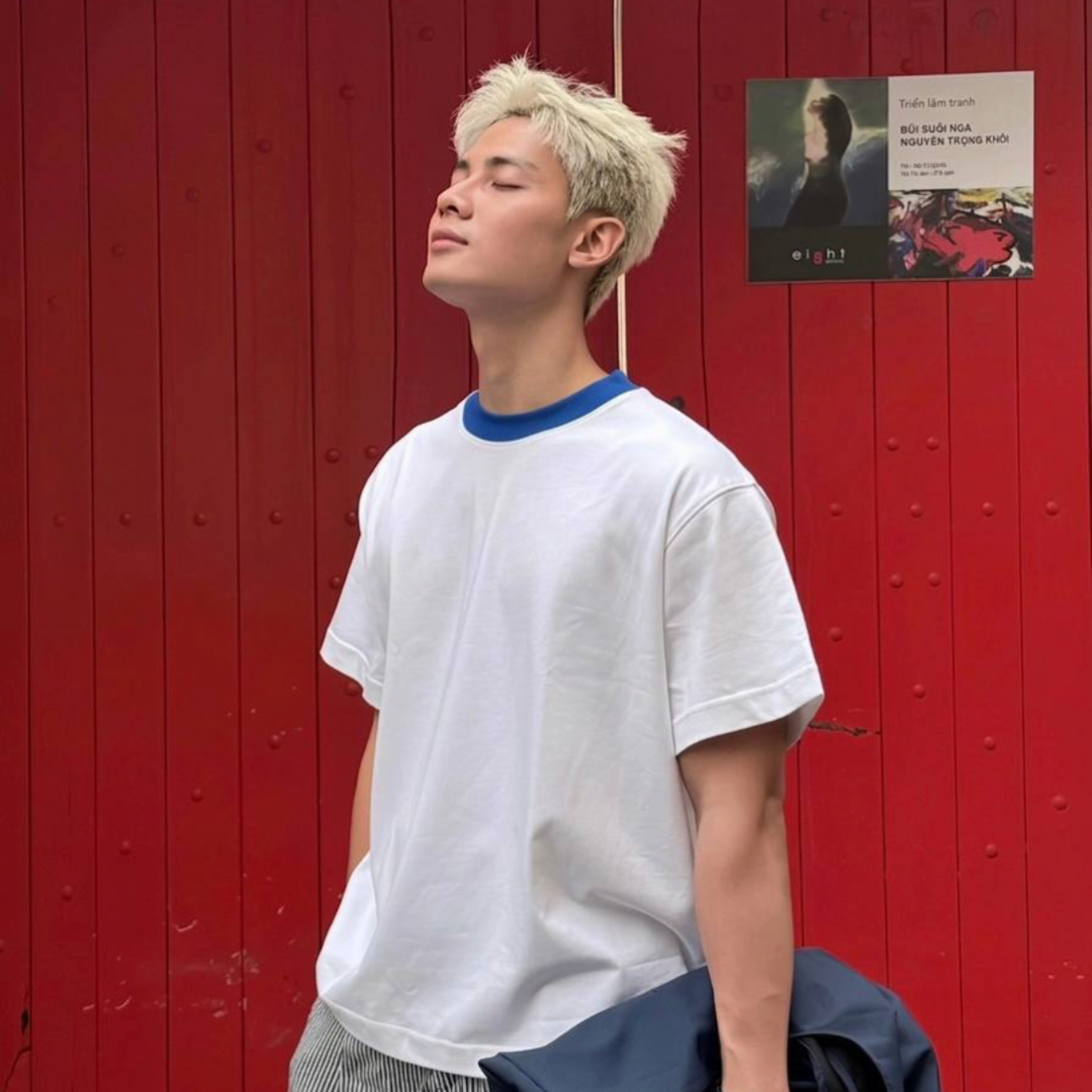 New Basic Cotton